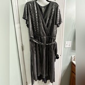 NWT Beautiful Metallic Silver Dress